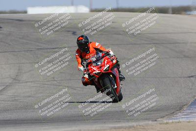 media/Oct-29-2023-Carters at The Track (Sun) [[b2bb4383ab]]/B Plus/120pm (Outside Grapevine)/